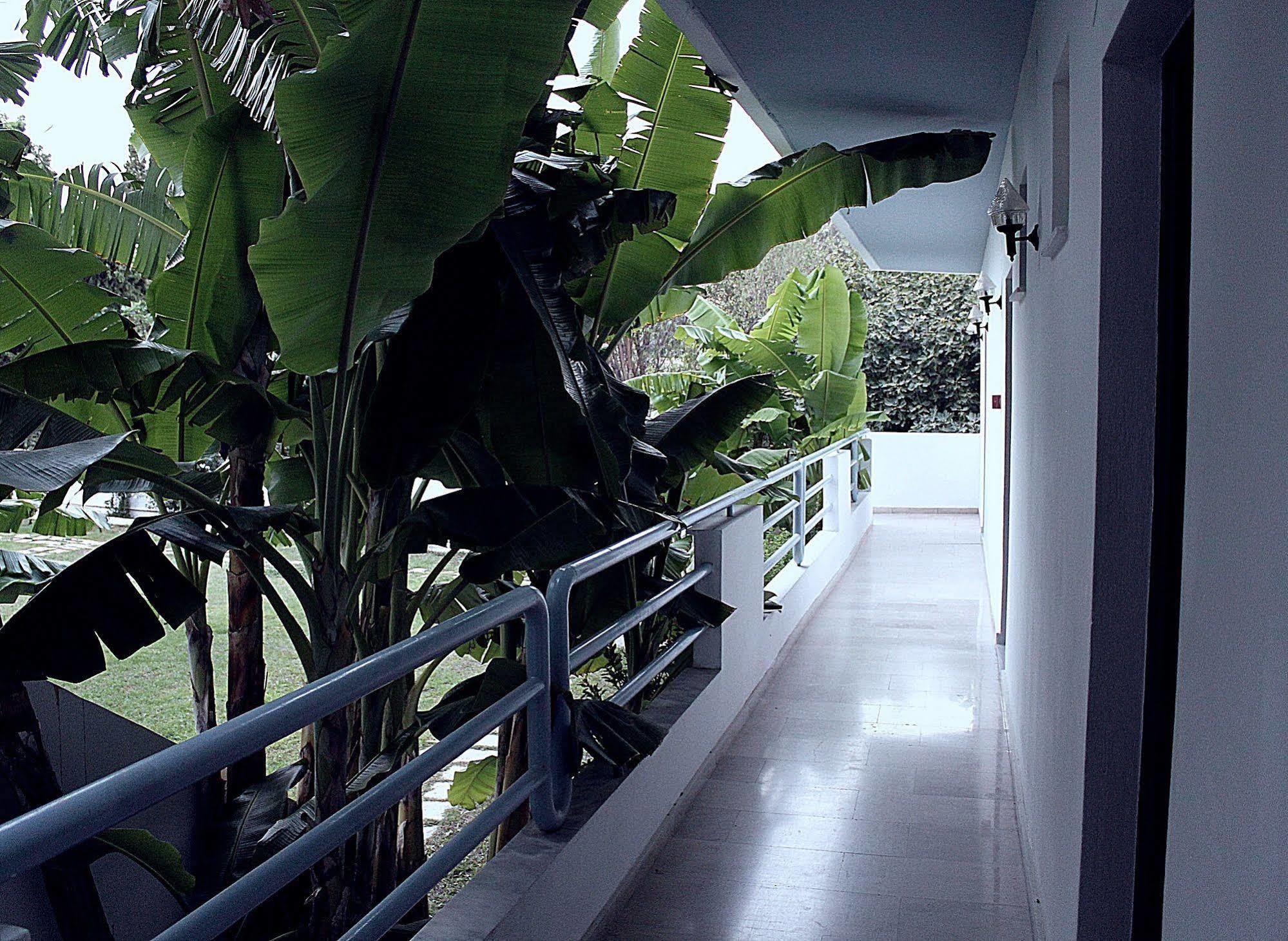 Elga Hotel & Apartments Kardamena  Bagian luar foto